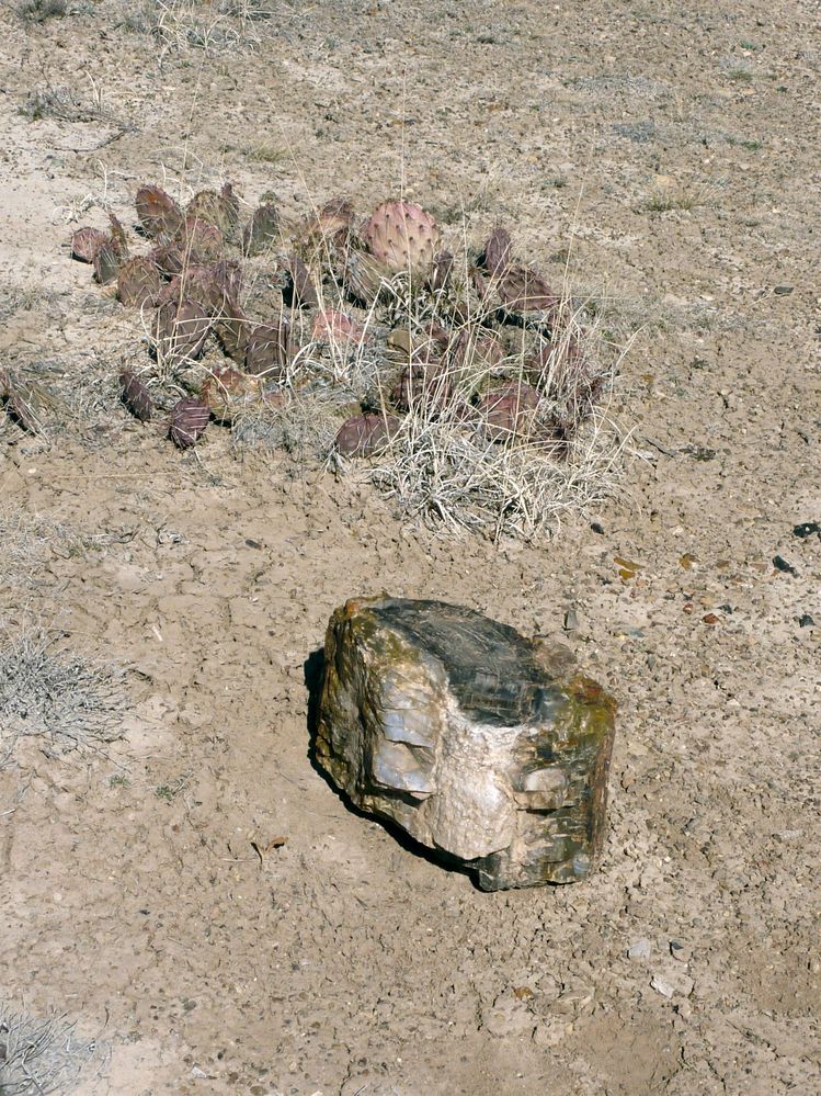 Escalante state park (5).JPG